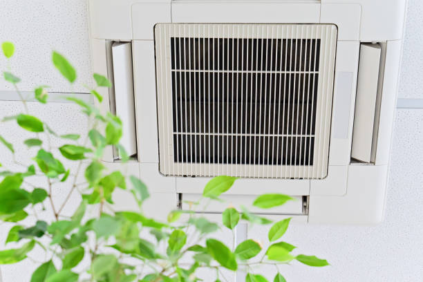 Best Best Air Duct Cleaning Company  in Hawaiian Beaches, HI